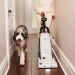 Riccar Clean Air Premium Pet Upright Vacuum - R27P